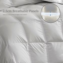 Comforter 