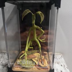 Fantastic Beats- Bowtruckle