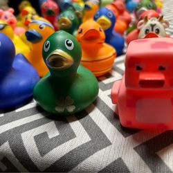 Rubber duck collection