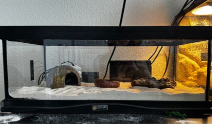 10 Gallon ZooMed Creature Den