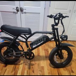 #vaster ebike#