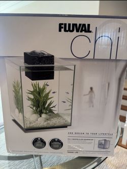 Fish or Reptile Aquarium 5-Gallon