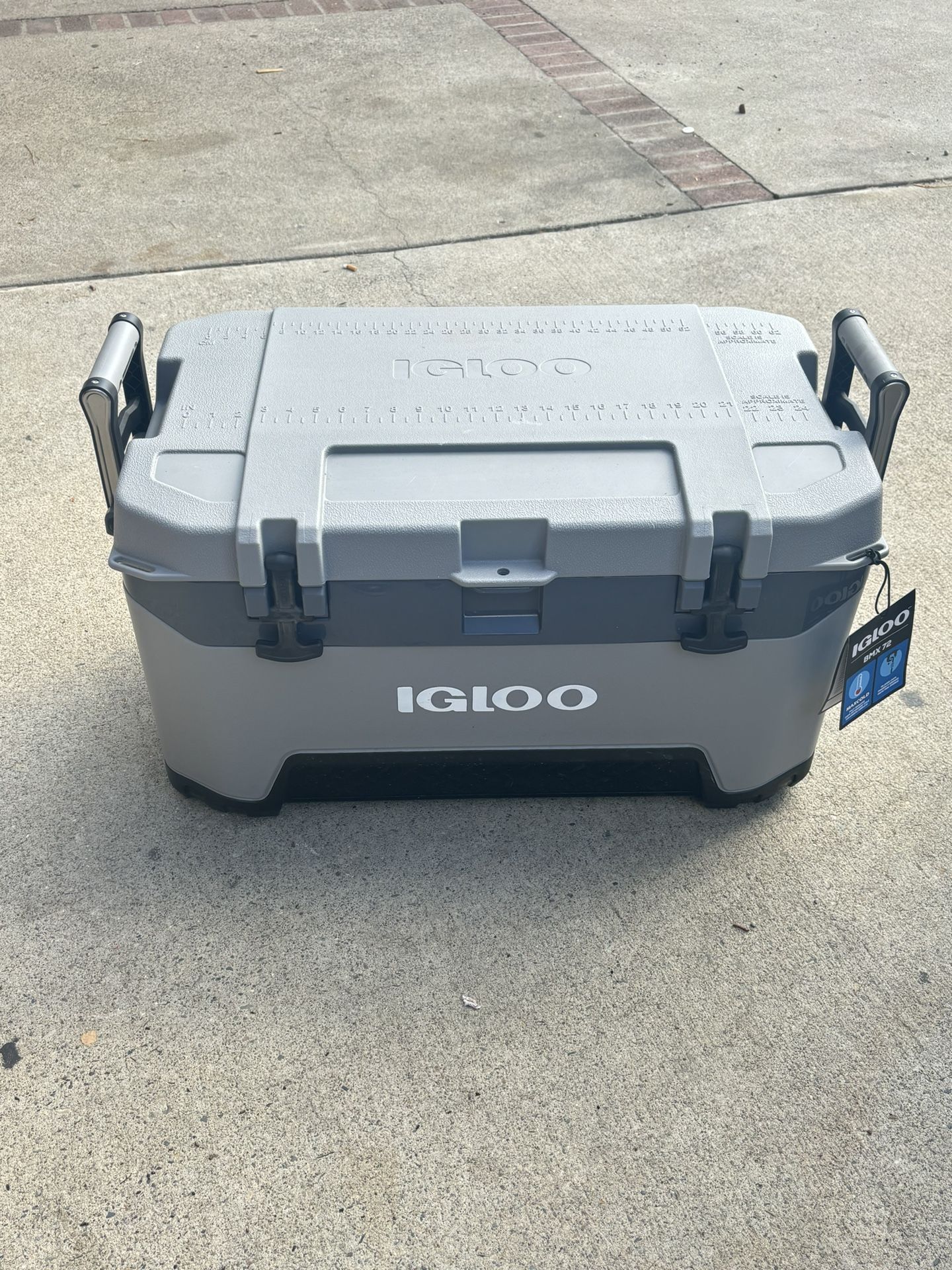 Igloo Cooler