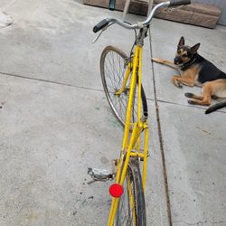 Raleigh Mad I  england