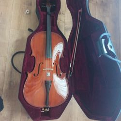 cecilio cco-200 cello