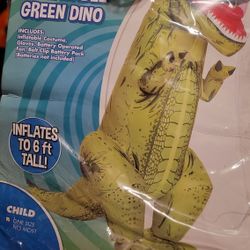 Child Holloween Costume