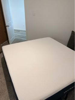 KING classic nectar bed