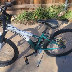 Diamondback bicycle Tess 24