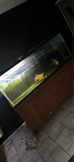 150 gallon fish tank