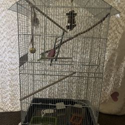 Bird Cage 