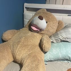 Huge Teddy Bear 