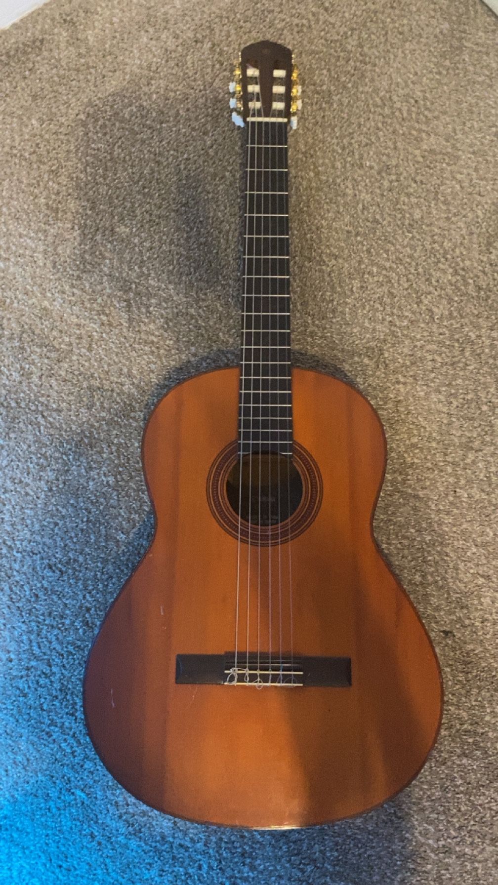 Acoustic Guitar