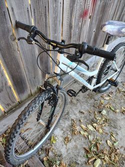 MOUNTAIN BIKE
