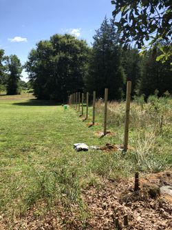 Fences