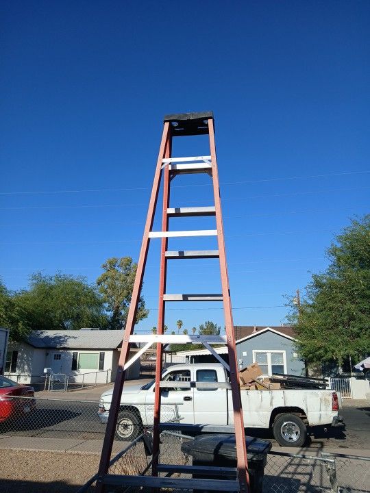 Warner 12 Ft Ladder