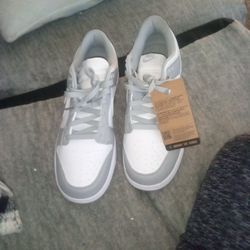 White Nike Dunks Low Nature Mens 11.5