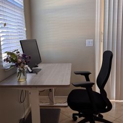 flexispot height adjustable standing desk + chair 