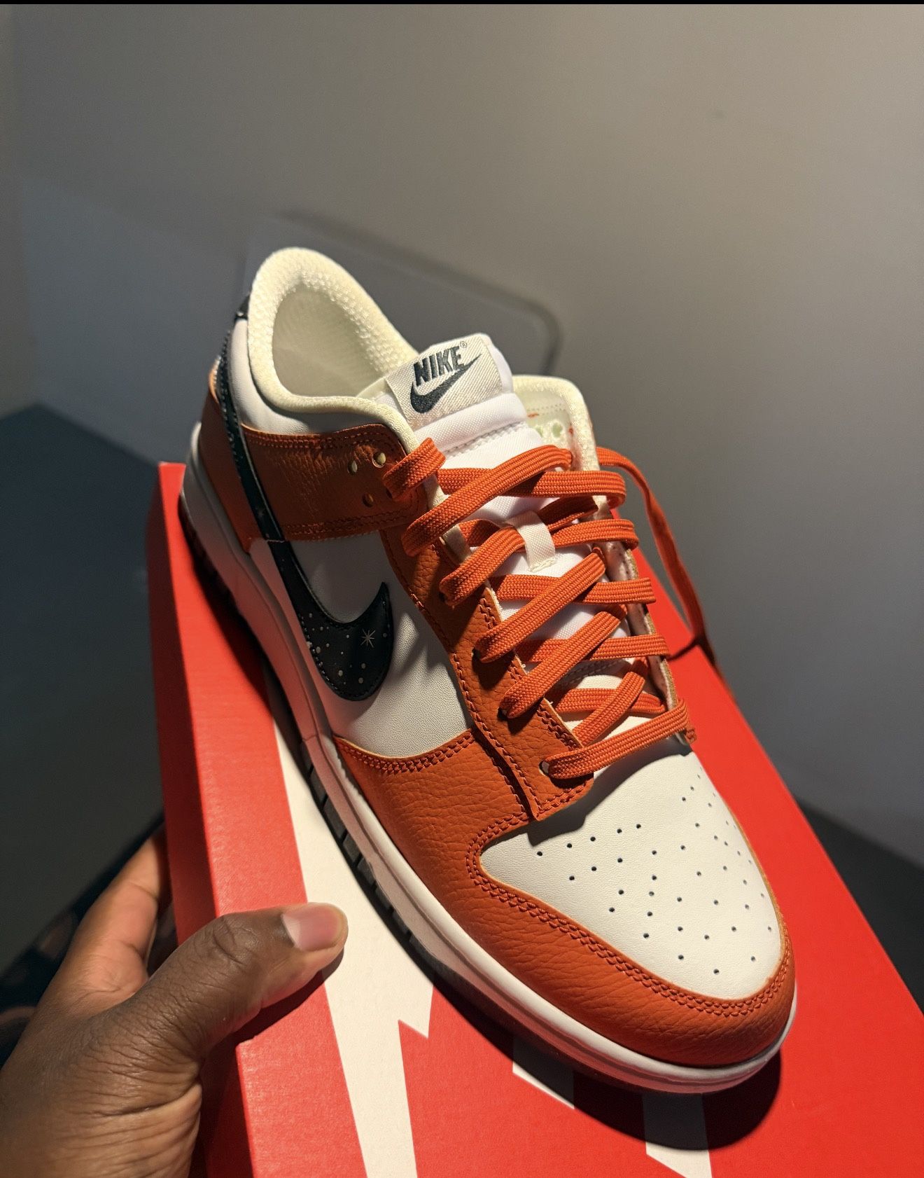 Nike Dunk Low 'Starry Swoosh' Deadstock Size 12