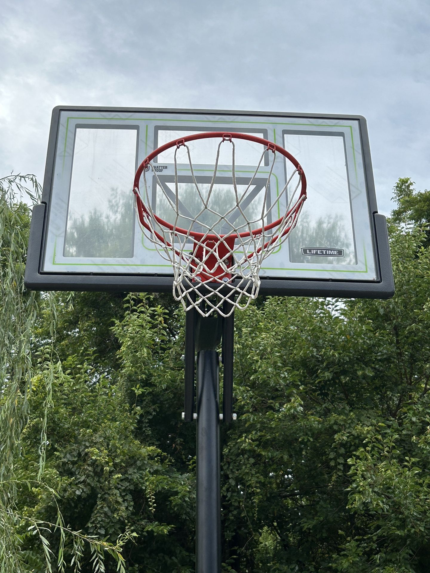 Lifetime Basketball Hoop