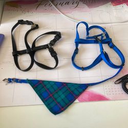 2 Dog Harnesses Dog Bandana Dog Training Clicker