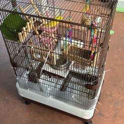 Bird Cage ( Birds Not Included)