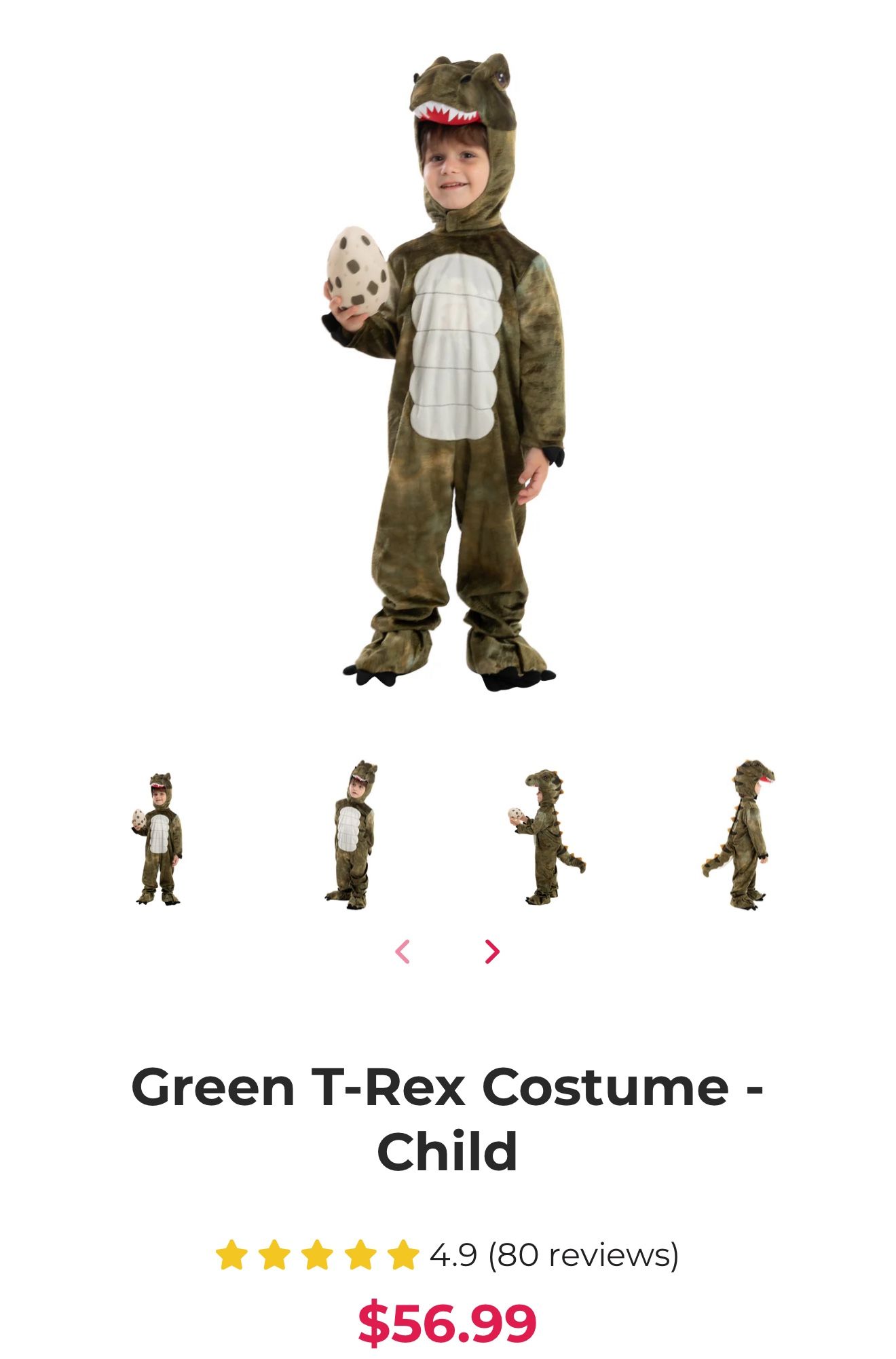 Green T-Rex Costume - Child