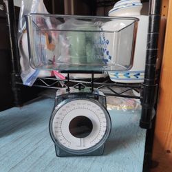 Travel Food Scale