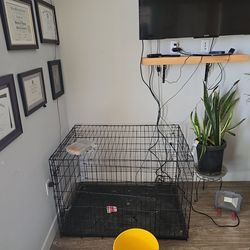 Large dog crate