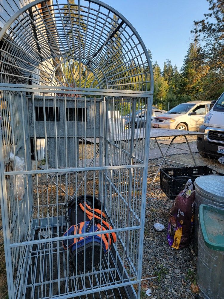 Birds 🐦 Cage