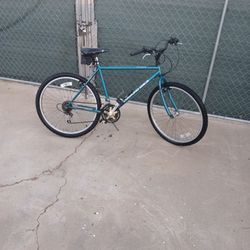 Diamond Back Mountain Bike