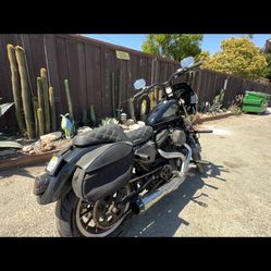 2006 Harley Davidson Sporster 1200 