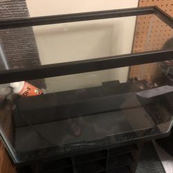 Nice Aquarium 