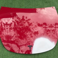 Tesla Model Y Hood Capo 2021 2022 2023 2024 2025