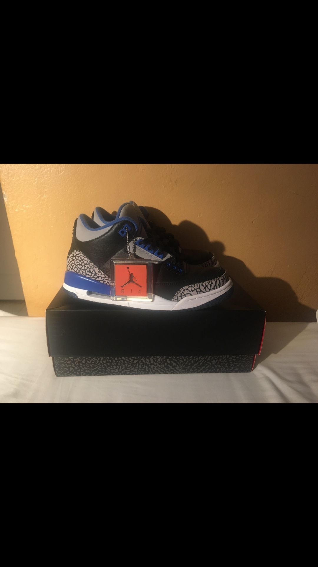 Nike Air Jordan 3 Sport Blue