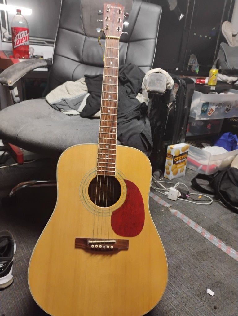 Stevens Guitar