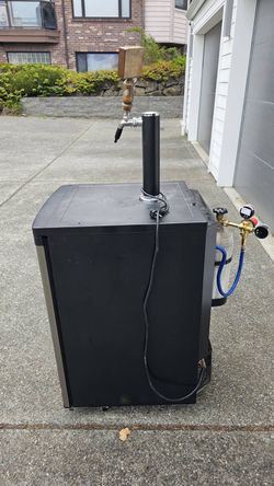 Beer kegerator
