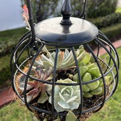Metal Hanging Sphere Birdcage Planter Succulent Arrangement Live Real Flowers Garden Decor Collectible Flowers Hanging Metal 
