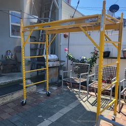Scaffold