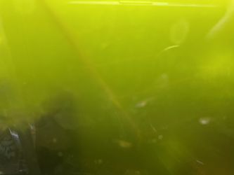 Green Water