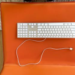 Apple Keyboard (USB Cable Attached)