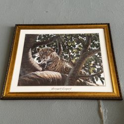 Paintings