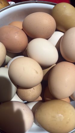 Organic eggs
