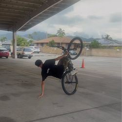 mafia bomma 29”