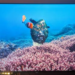65-inch 4K Ultra HD Smart LED TV with 3D capability