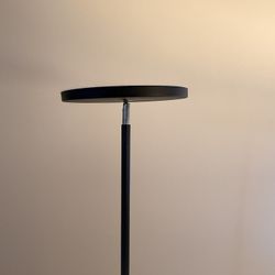 LED Floor Lamp