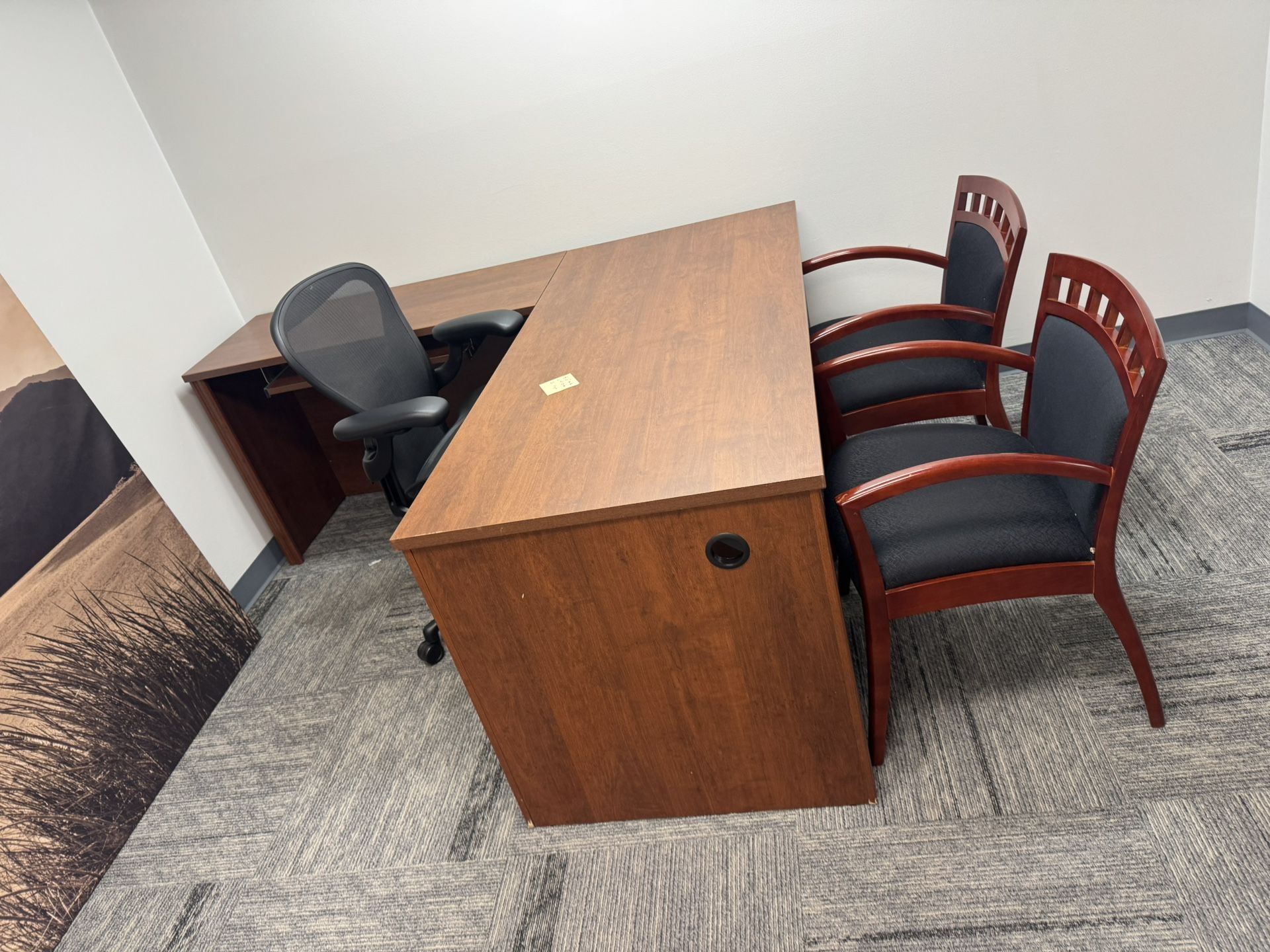 Desk - Professional Executive Desk 