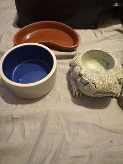 Lizard Or Snake Tank Stuff