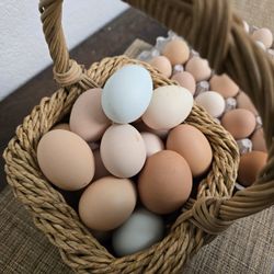 Fresh Farm EGGS