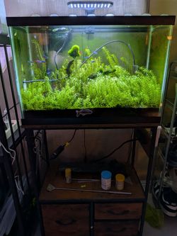 20 gal aquarium with stand and all equipment