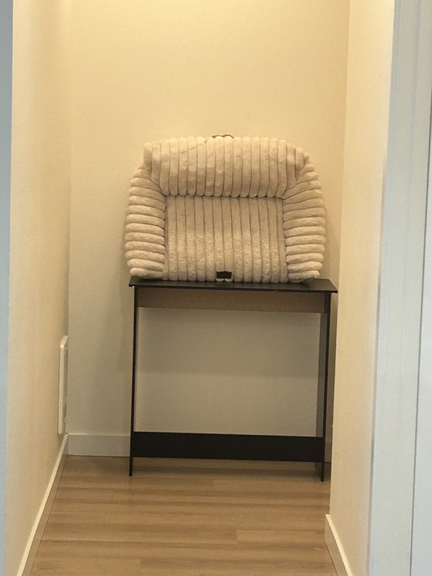 Free Cat Couch And IKEA Desk